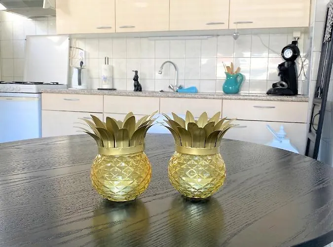 De Kneet Hébergement de vacances Egmond aan Zee