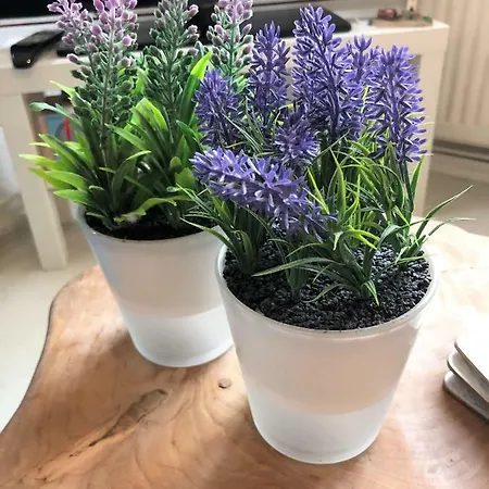 Vakantiehuis De Kneet *